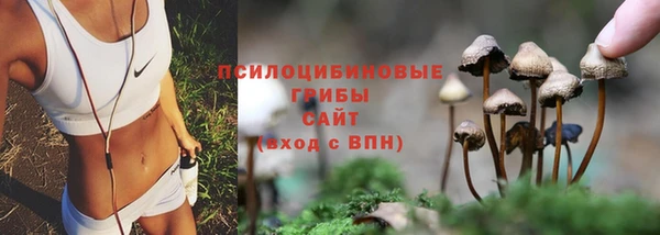 индика Козельск