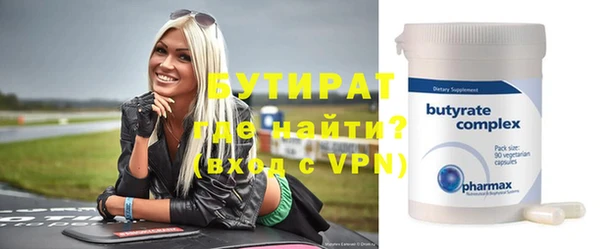 индика Козельск