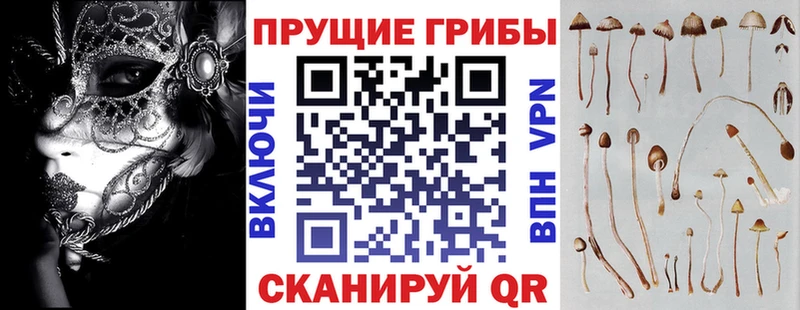 Галлюциногенные грибы Magic Shrooms  сколько стоит  Краснозаводск 